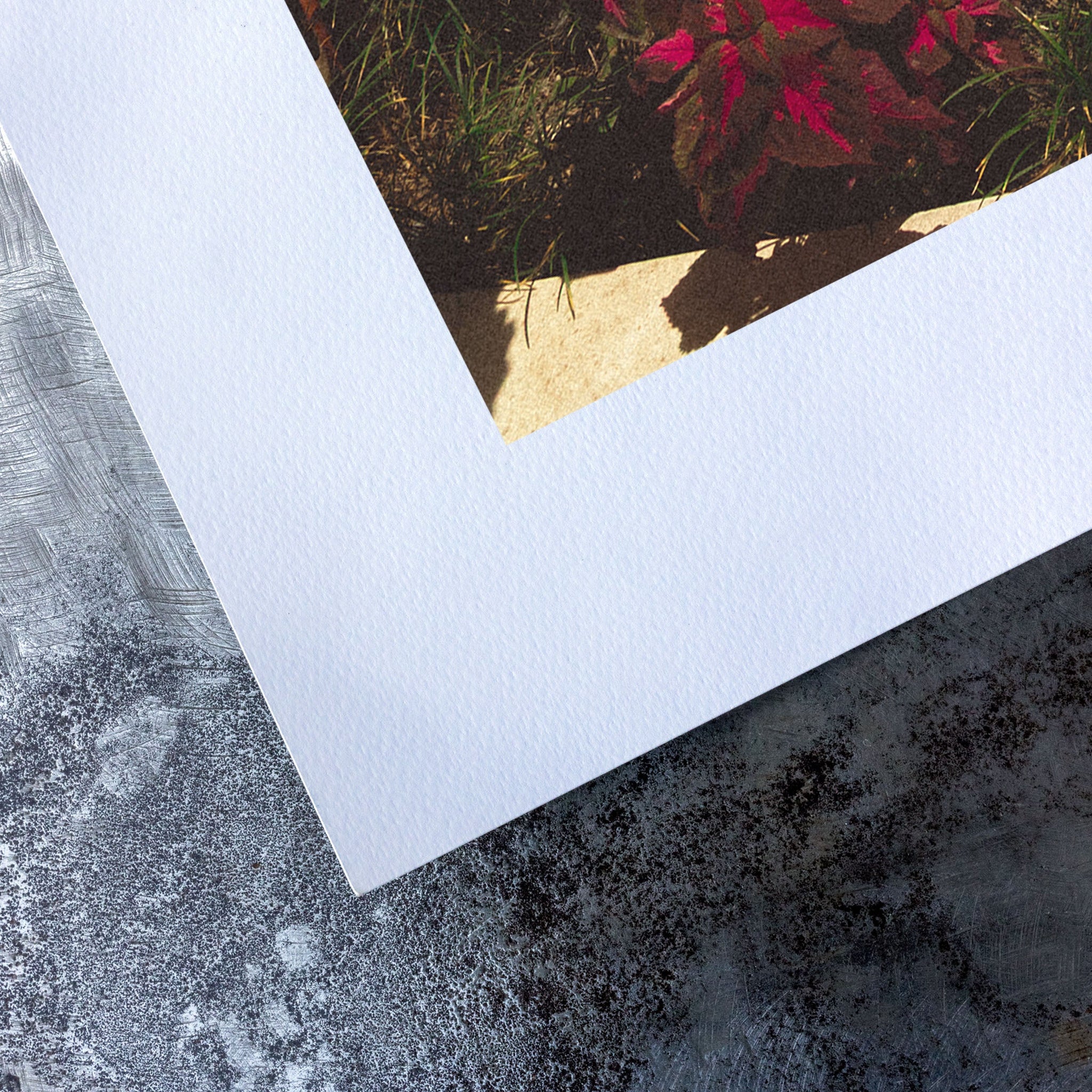 no frame~Small