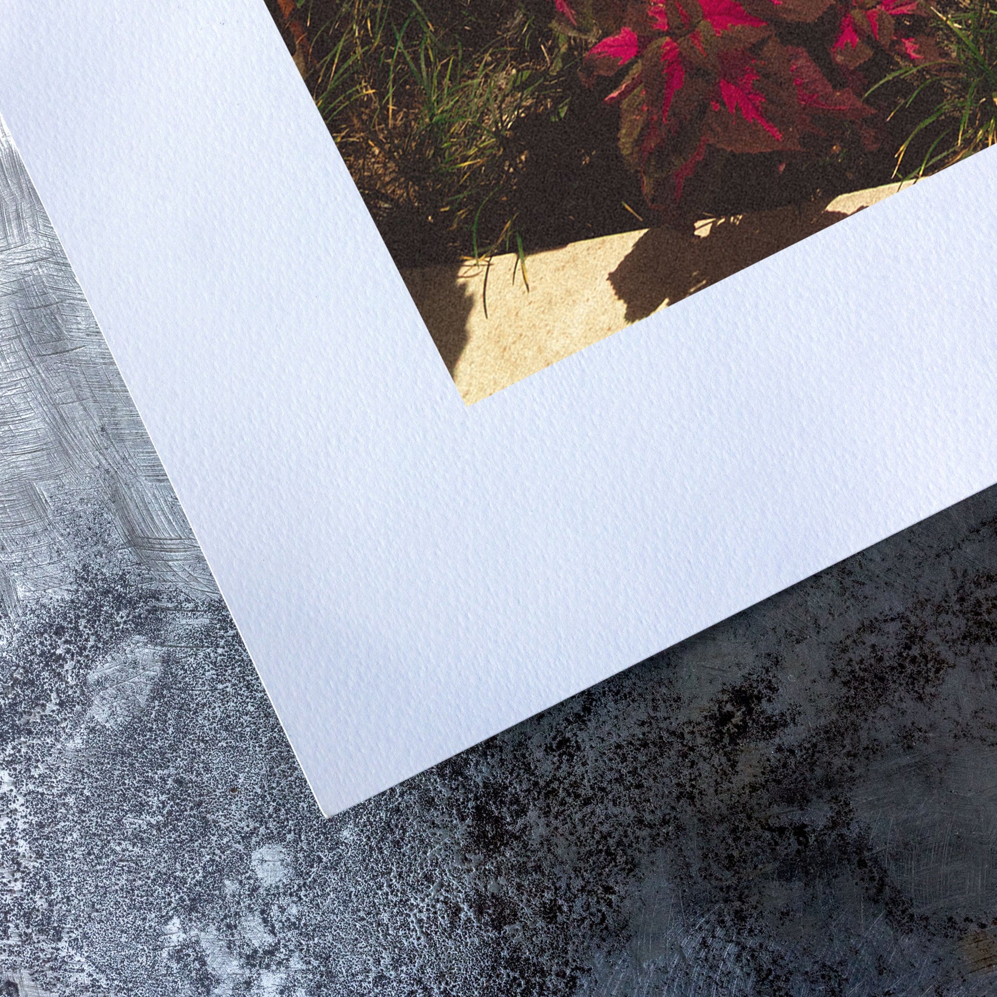 no frame~Extra-Large
