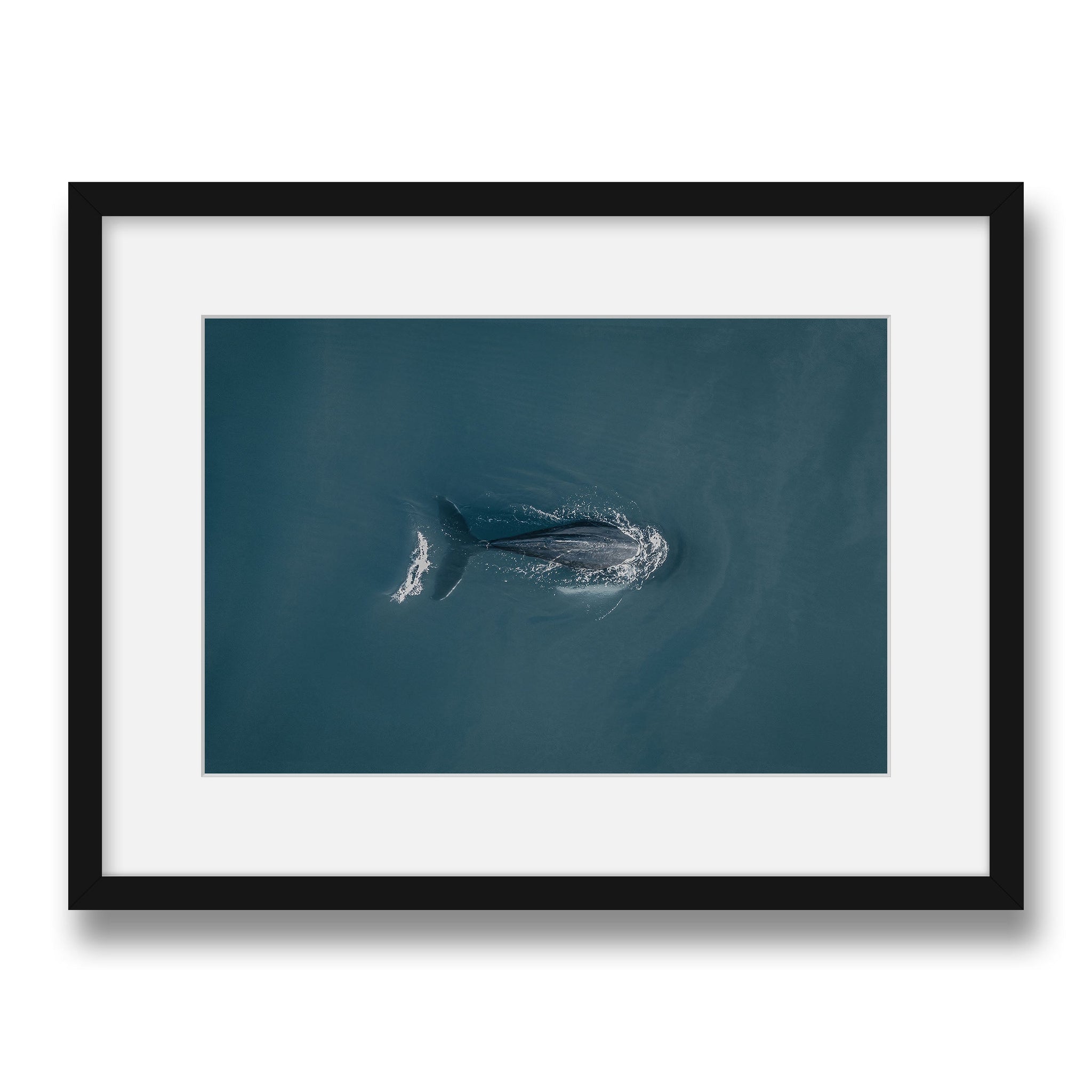 black~Medium