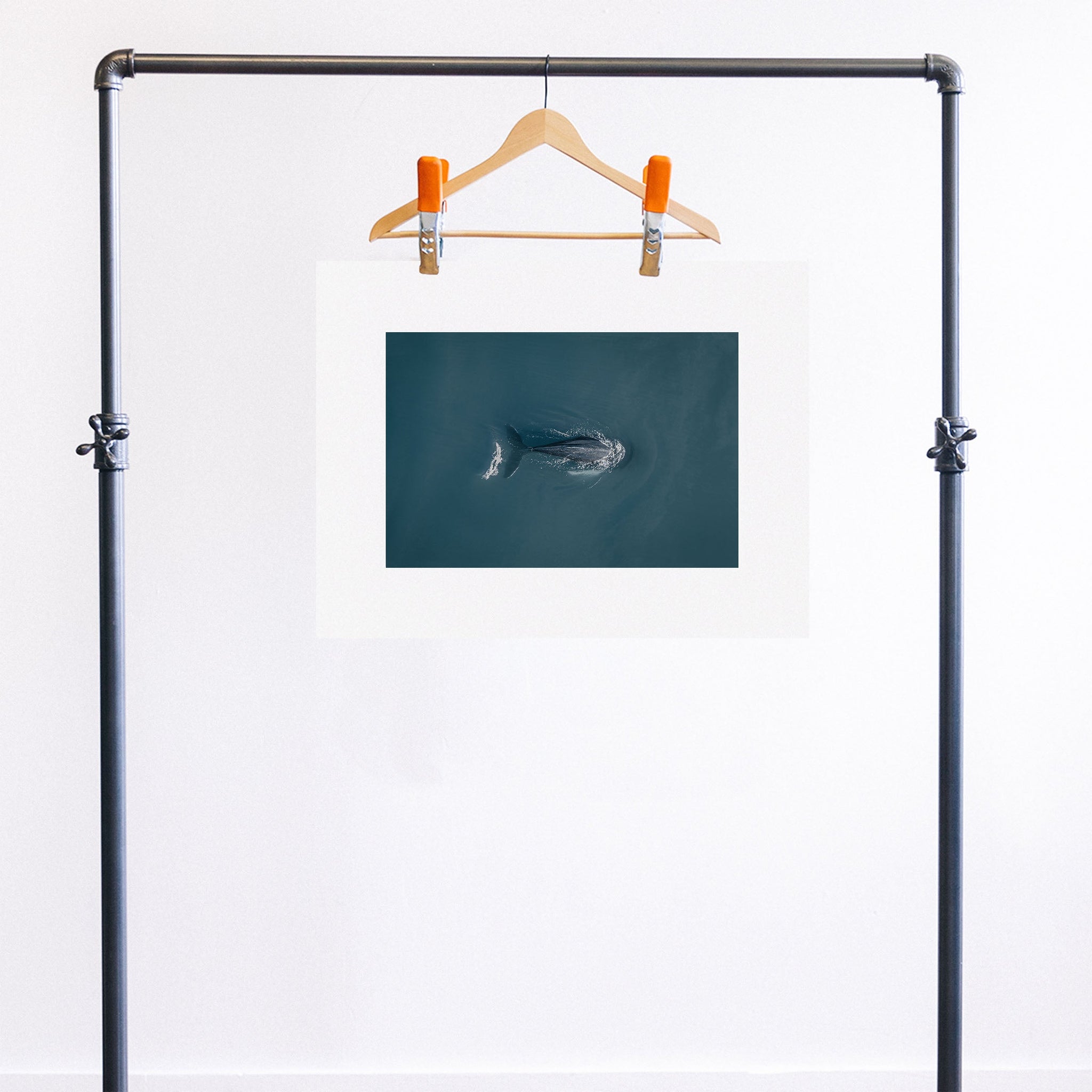 no frame~Medium