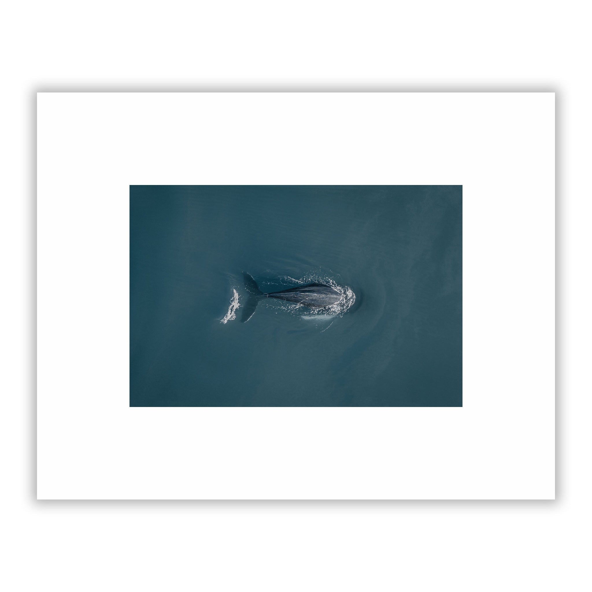 no frame~Small