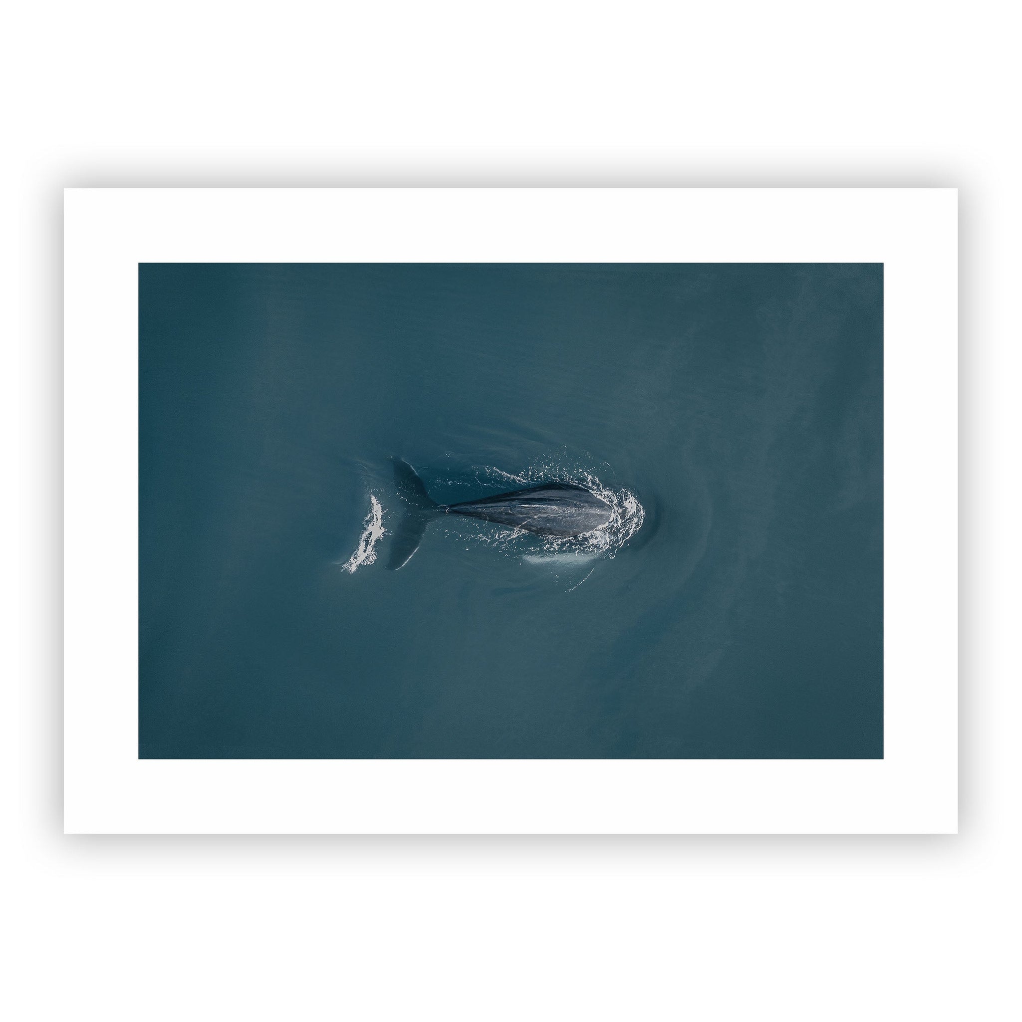 no frame~Extra-Large