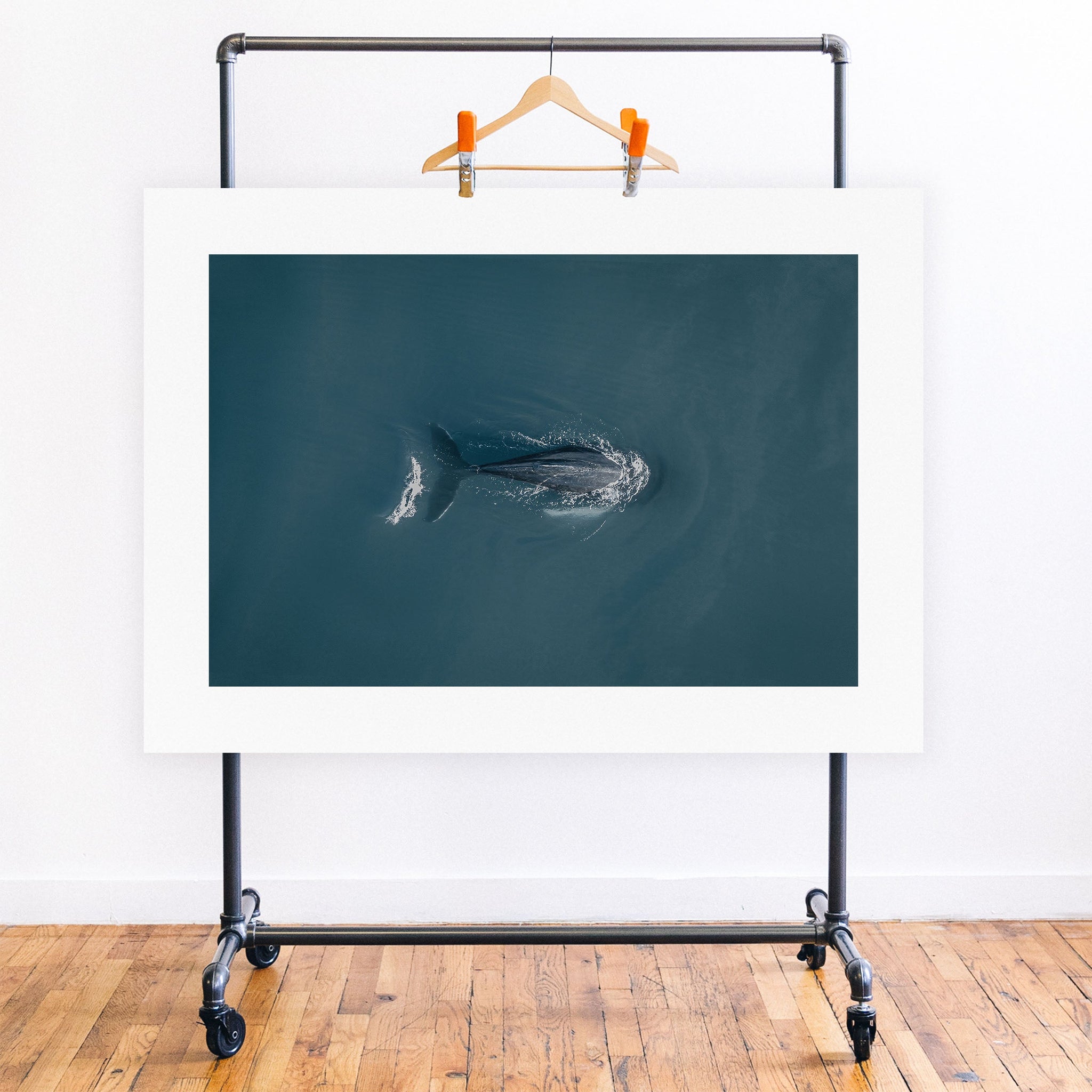 no frame~Executive