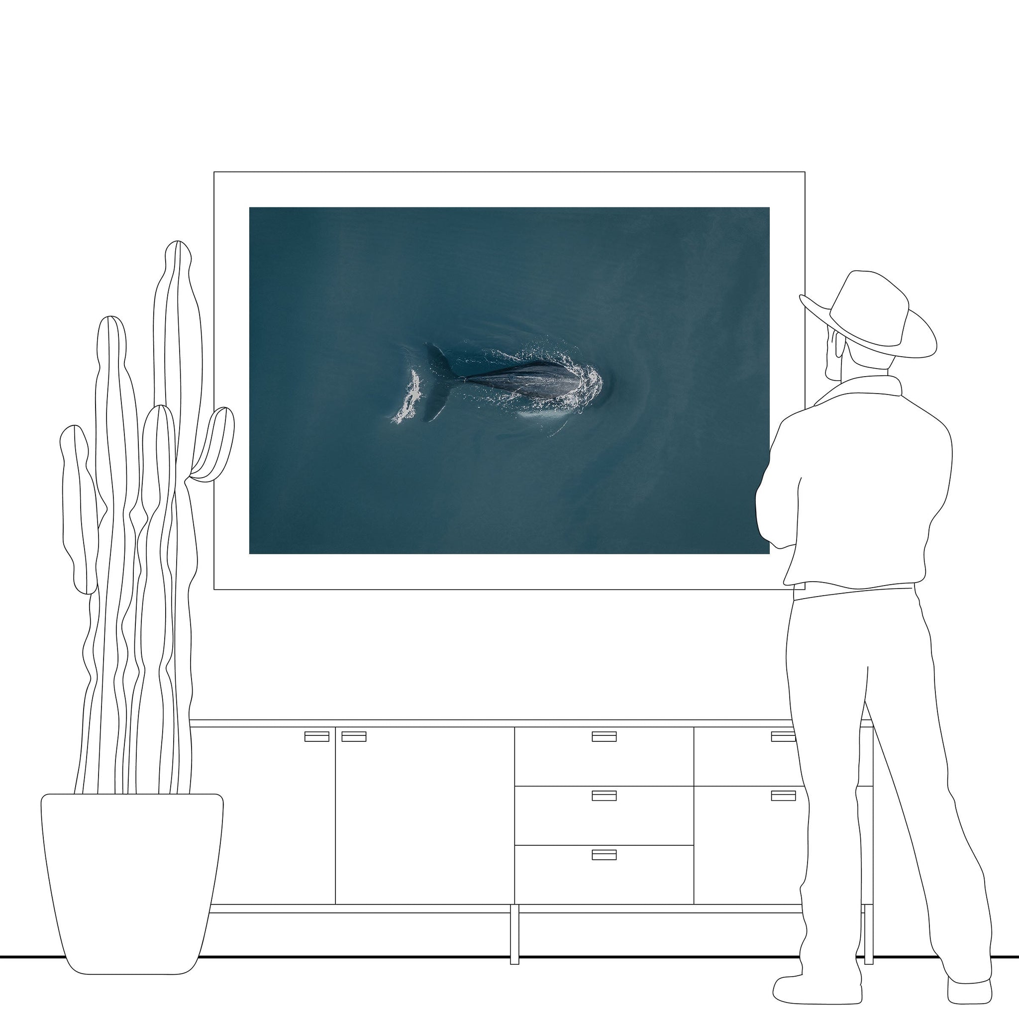 no frame~Executive