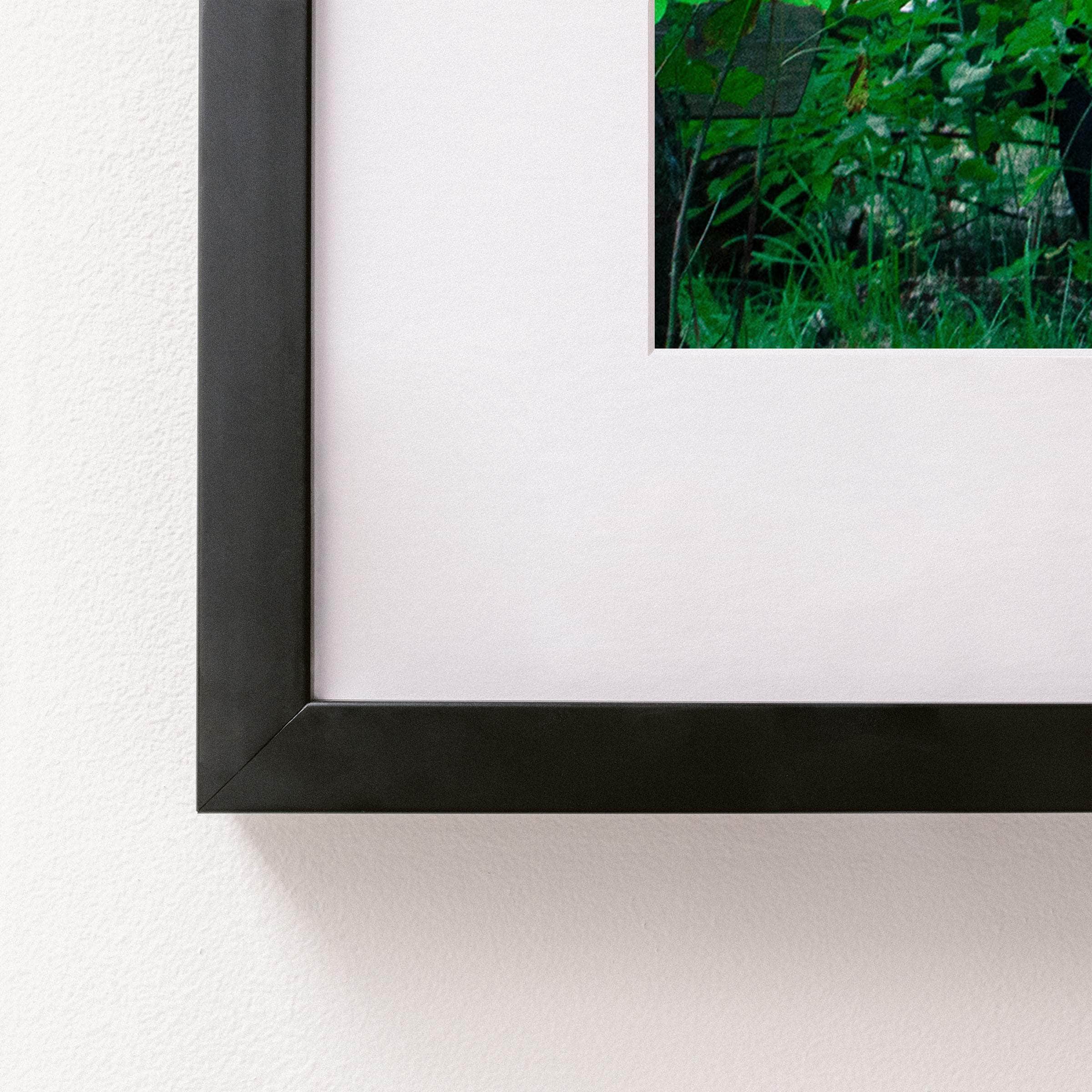 Green Room | Framed Photography by Nacho Uranga, Curated by