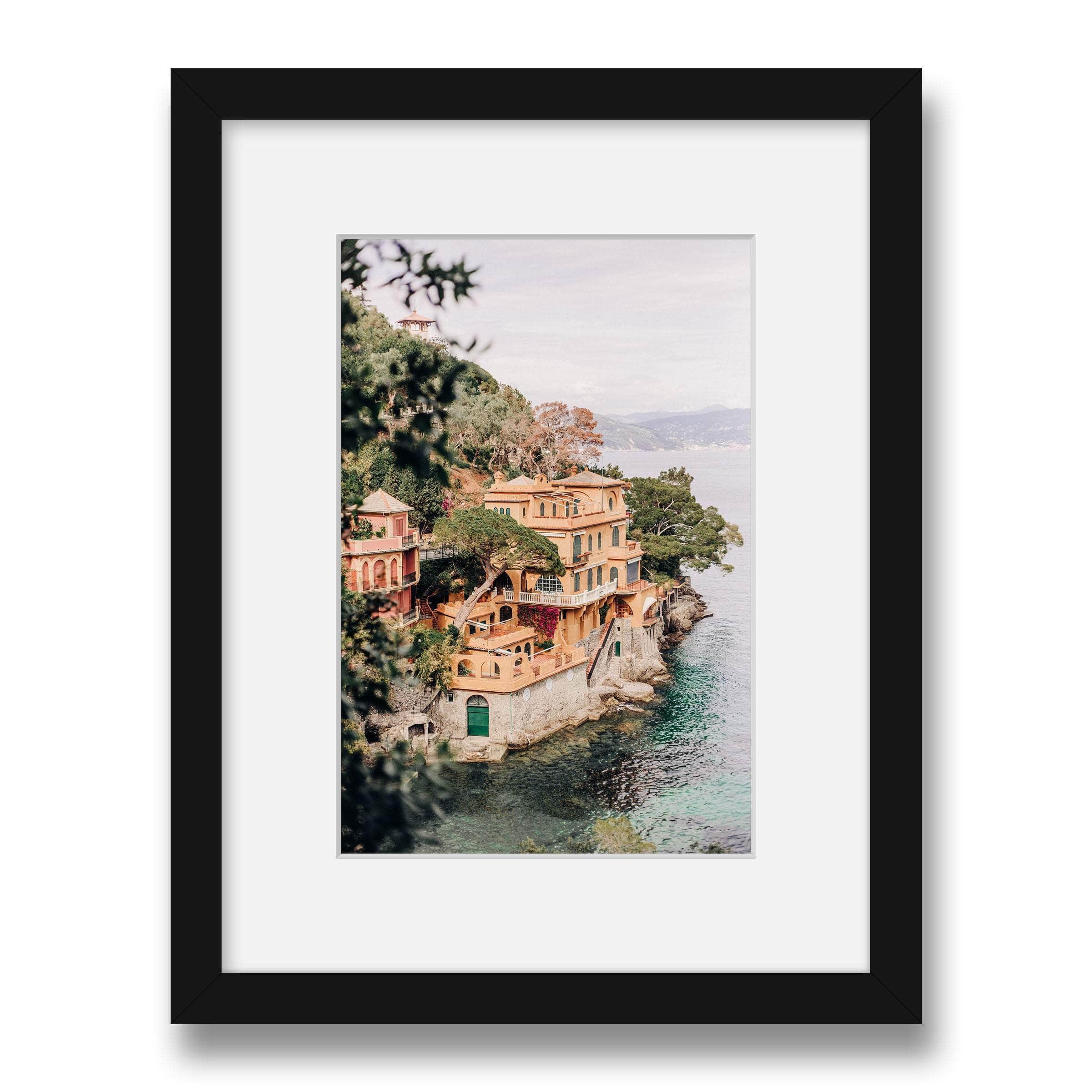 money tree picture in frame Money Trees